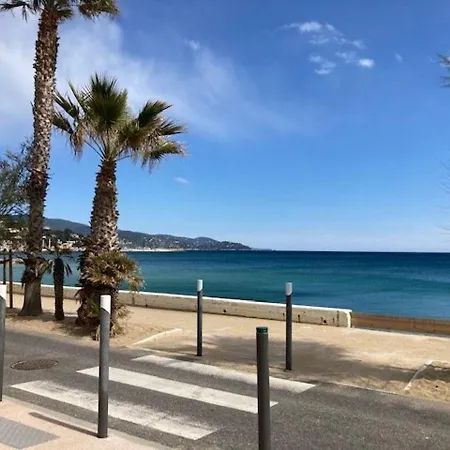 Apartment Avec Vue Mer, Climatisation Et Cuisine Equipee - - Fr-1-308-158 Le Lavandou